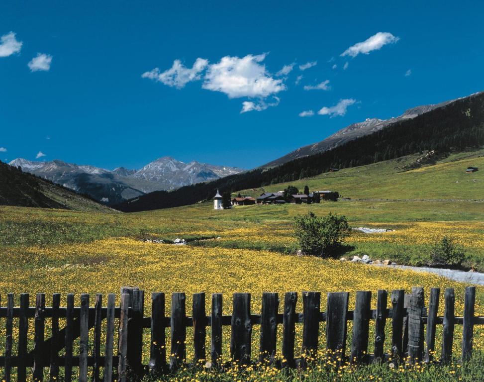 Chalet Berghof Sertig كلافادل المظهر الخارجي الصورة